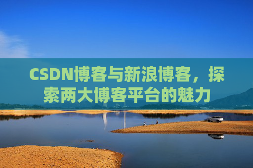 CSDN博客与新浪博客，探索两大博客平台的魅力